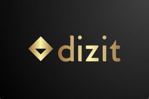 Dizit